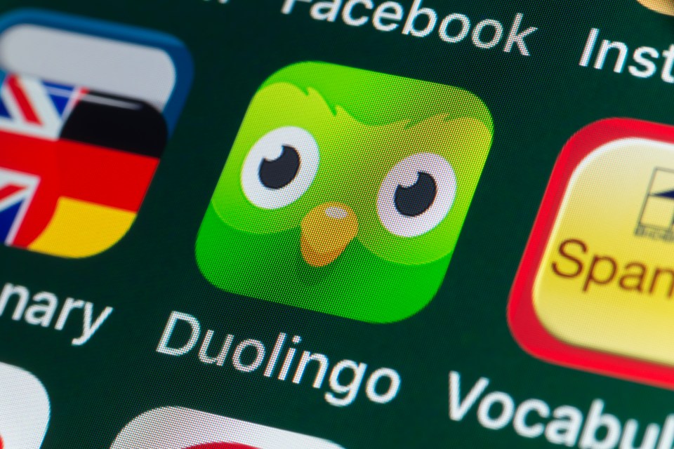 Close-up of the Duolingo app icon on an iPhone screen.