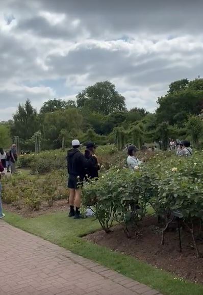 People walking among rose bushes in a garden.
