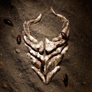 DEMON HUNTER Releases New Single 'I'm Done'