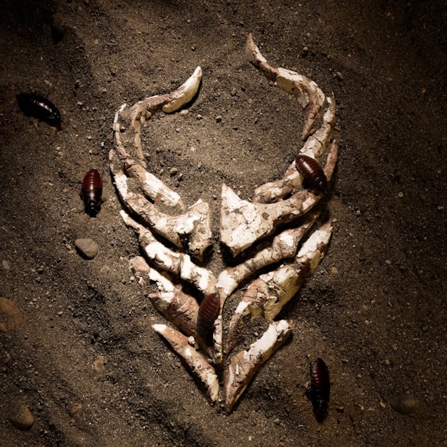 DEMON HUNTER Releases New Single 'I'm Done'