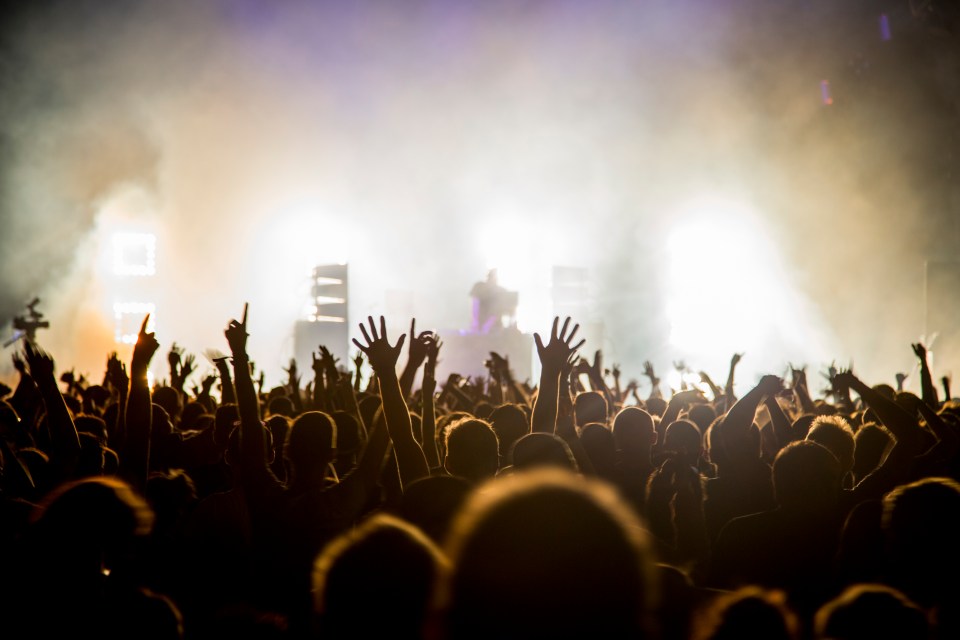 Crowd at a music concert with their hands raised.