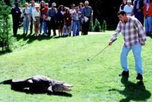 A man golfing on a green with an alligator in the foreground and spectators in the background.