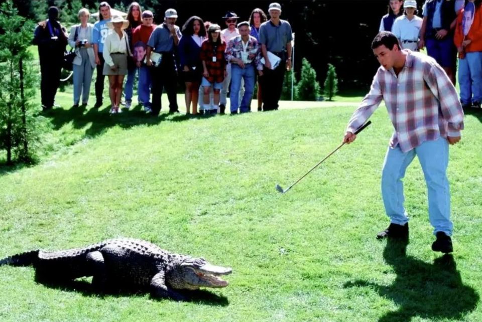 A man golfing on a green with an alligator in the foreground and spectators in the background.
