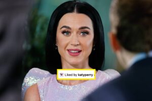 Katy Perry Had A Perplexing Response To An Onion Headline About Her
