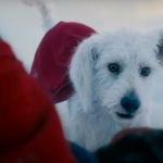 Krypto the Superdog in upcoming 'Superman' reboot