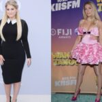 meghan-trainor-changes-lyrics-to-all-about-that-bass-following-weight-loss-and-plastic-surgery1