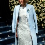 anna wintour, met gala 2025