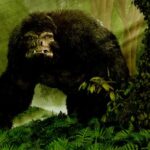 bigfoot-encounter