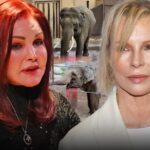 priscilla presley kim basinger tina billy elephants main getty