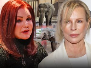 priscilla presley kim basinger tina billy elephants main getty