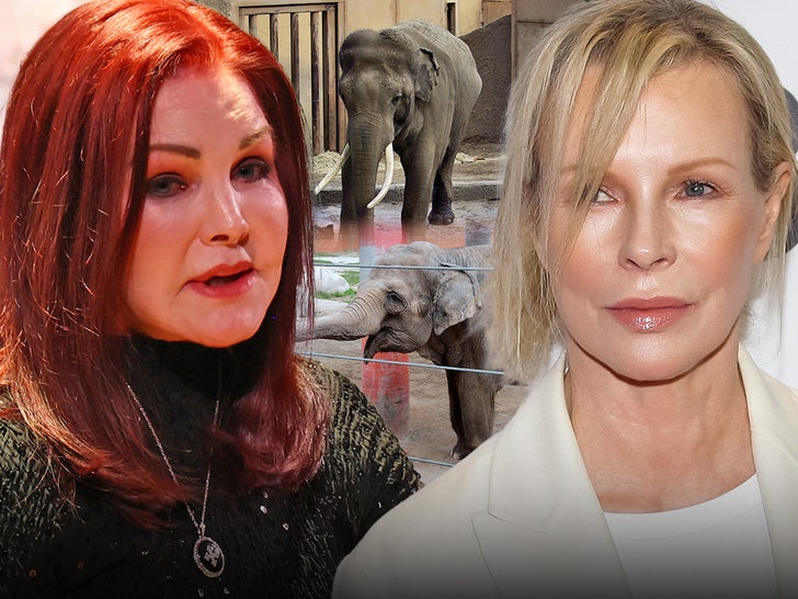 priscilla presley kim basinger tina billy elephants main getty