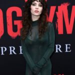 sophie-thatchers-stunning-sheer-dress-for-boogeyman-premiere-resurfaces-makes-fans-swoon