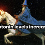 wizard riding a unicorn meme