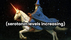 wizard riding a unicorn meme