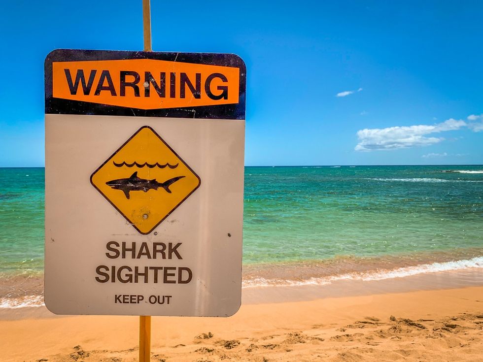 The 9 Most Dangerous U.S. Beaches for Shark Attacks, Ranked — Best Life