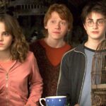 Harry Potter’s First Official Casting Wasn’t For The Trio—It Was For This Beloved Giant!