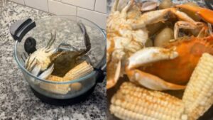 TikToker shocks viewers after cooking live crabs in her air fryer