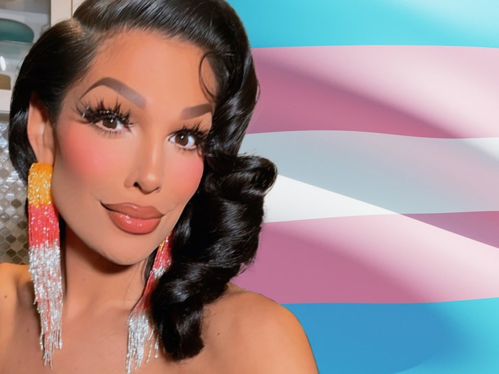 Valentina Xunaxi transgender flag istock