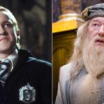 What Did Tom Felton Reveal About Michael Gambon’s Hidden Beard Anecdote In Harry Potter Set?