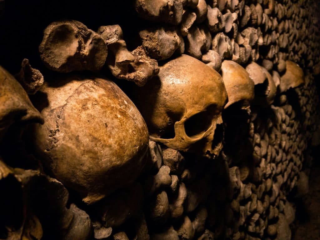 Skulls and bones embedded in a wall in the Paris Catacombs.
