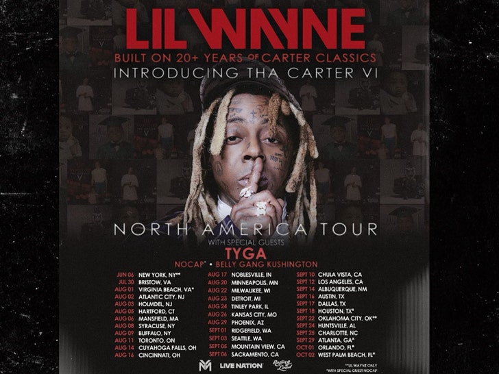 lil wayne tour poster