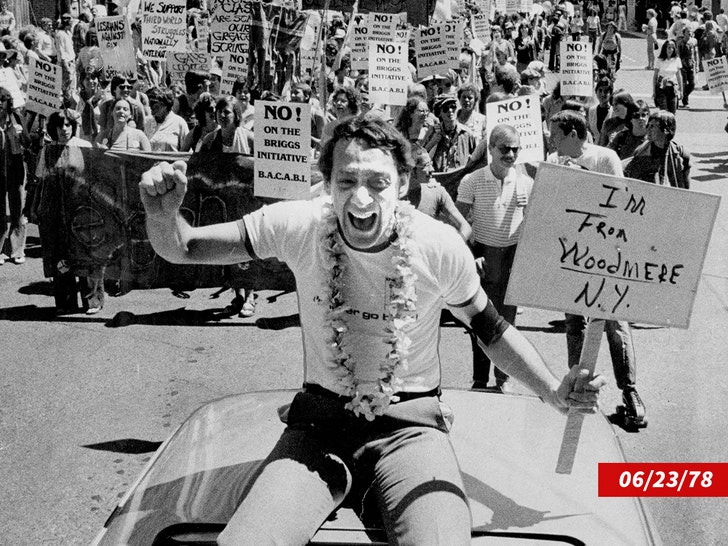 harvey milk getty