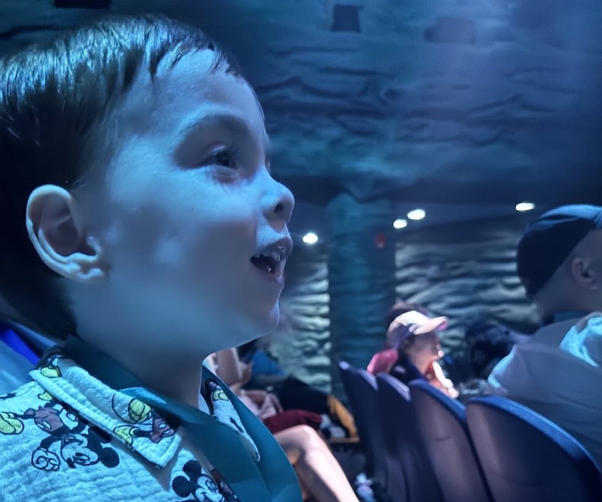 A handsome little boy smiling as he watches a live show in a blue lit theater