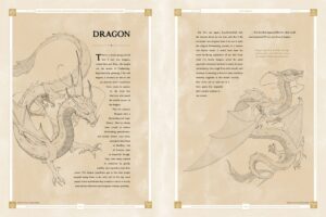 Beasts of the Four Nations: Creatures from Avatar dragon
