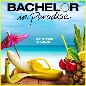'Bachelor in Paradise' Season 10 Cast Revealed, Including Host & Bartender!