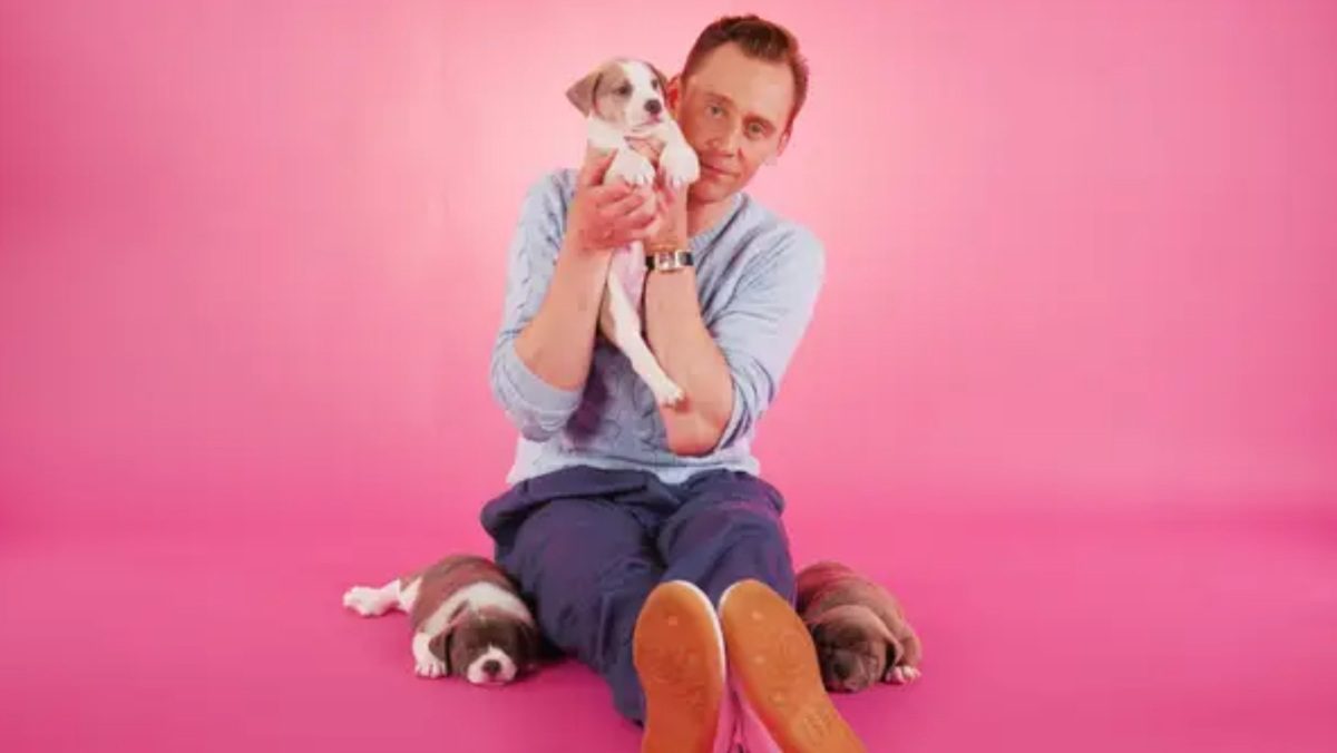 Watch Tom Hiddleston Talk THE LIFE OF CHUCK and LOKI Surrounded by Adorable Puppies_1