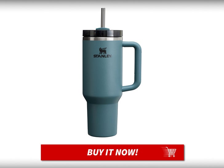 Stanley-Quencher-H2.0-Tumbler-With-Handle-And-Straw-40oz-Last-Minute-Fathers-Day-Gifts-MAIN