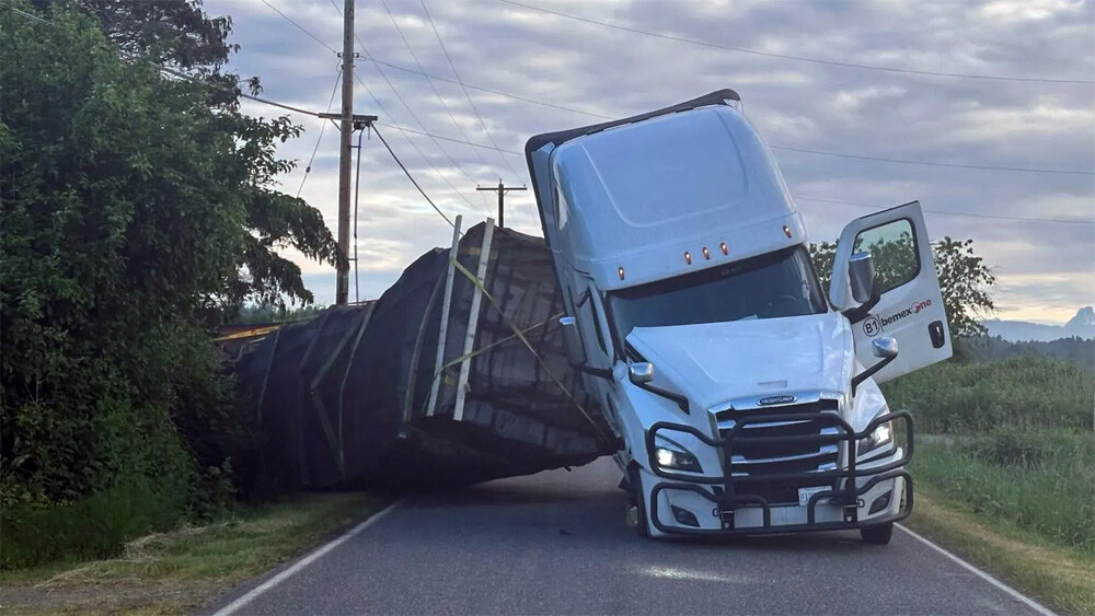 truck bees