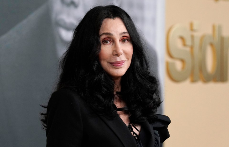 Cher at the premiere of the documentary film "Sidney."