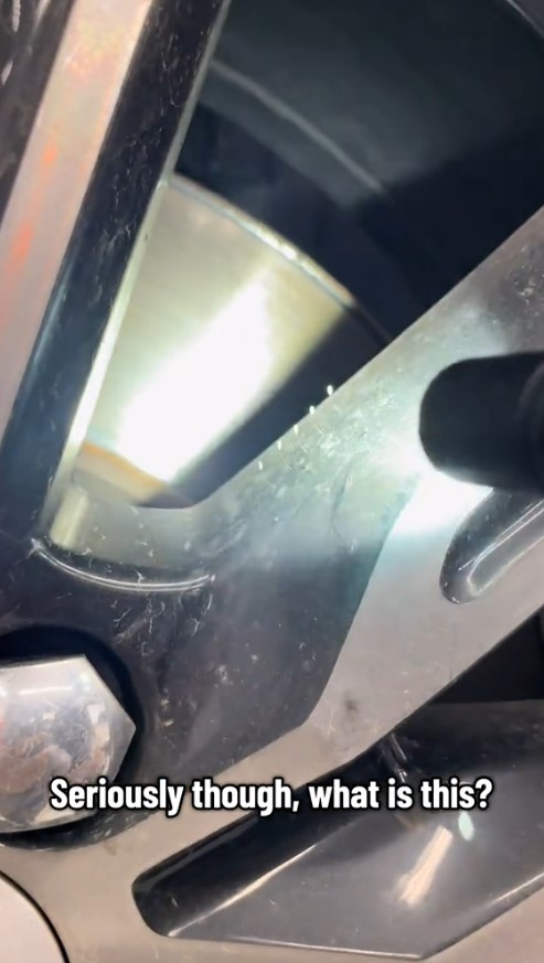 CARN'T BELIEVE IT Mechanic working on a customer's car notices something unusual creeping from the rims - 'never seen anything like this'
