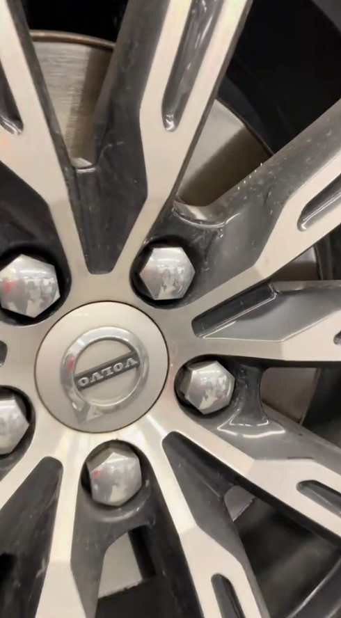 CARN'T BELIEVE IT Mechanic working on a customer's car notices something unusual creeping from the rims - 'never seen anything like this'