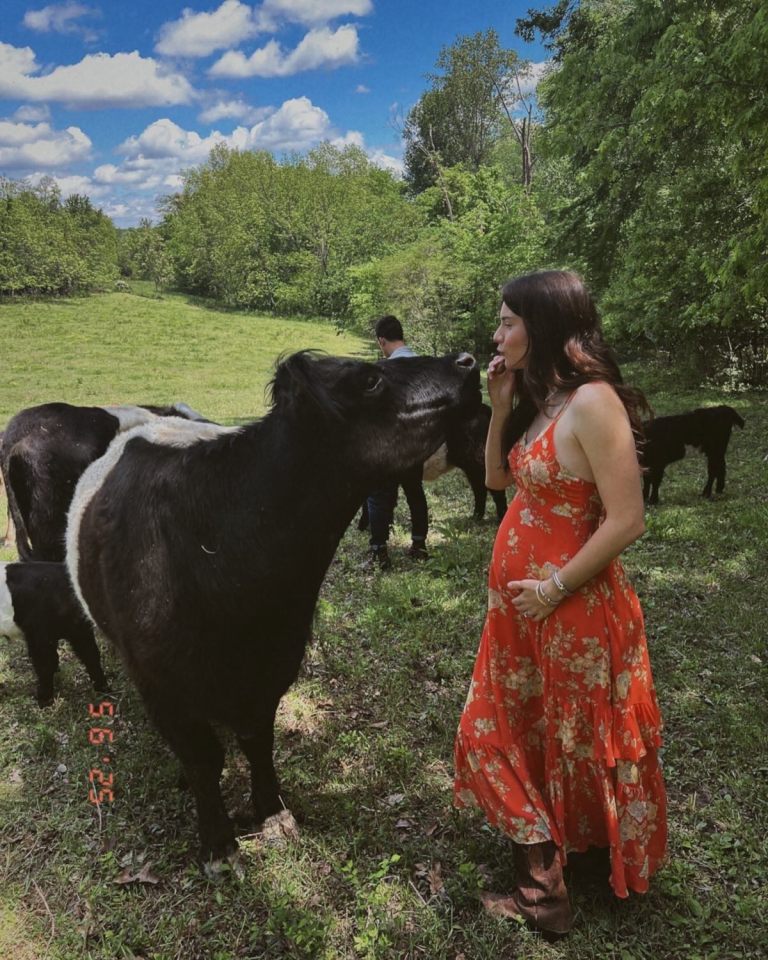Pregnant woman in a red dress petting a cow in a field.
