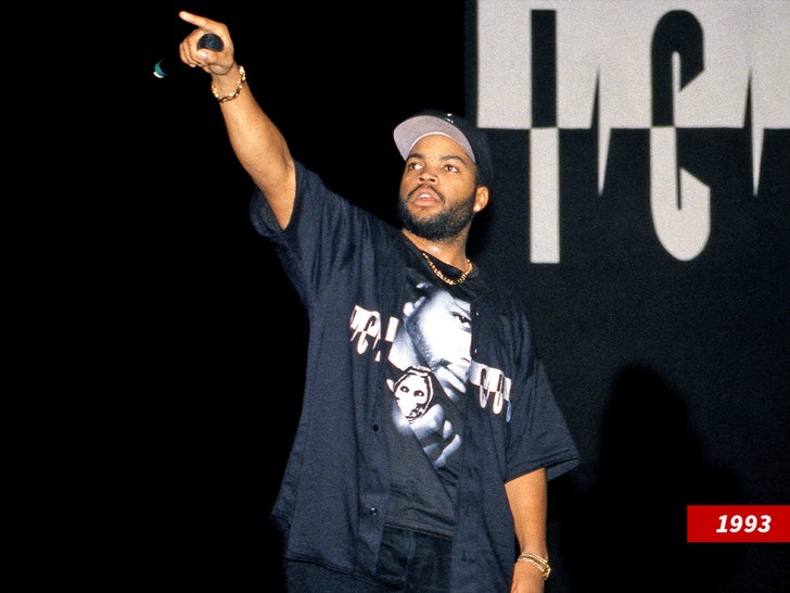 ice cube sub getty swipee