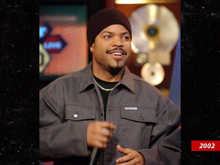 ice cube 2002 sub getty swipe