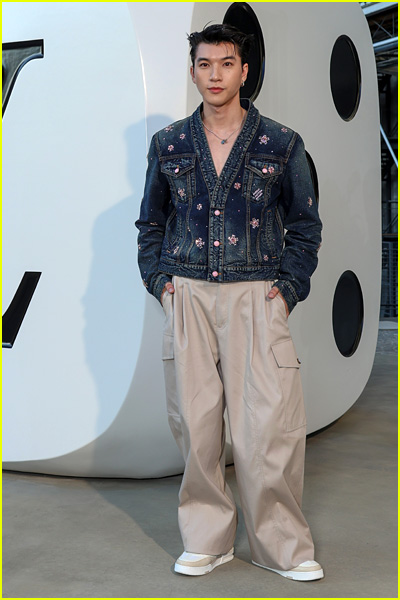 celebs at louis vuitton fashion show