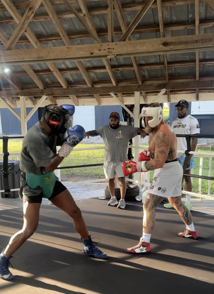 Boxers sparring in a boxing ring.