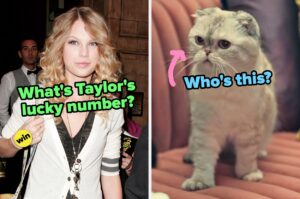 Are You A True Swiftie Or Just A Casual Listener?
