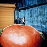 'Attack of the Killer Tomatoes' Reboot In Works With David Koechner, More