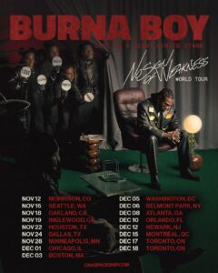 Burna Boy: No Sign of Weakness Tour