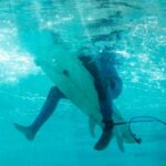 Underwater view of surfer