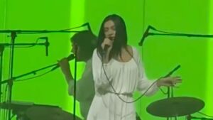Charli XCX Performs With Air at We Love Green 2025: Watch