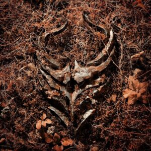 DEMON HUNTER Releases New Single 'Light Bends'