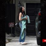 Prima Apollinaare the image direct sub swipe