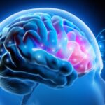 Brain-activity-waves