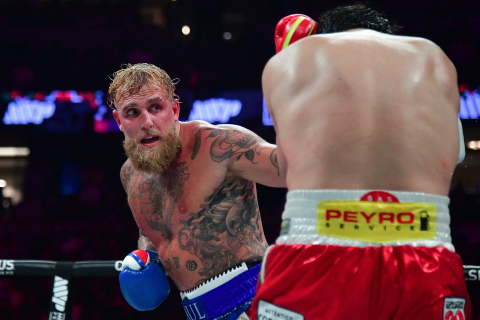 Jake Paul boxing Julio Cesar Chavez Jr.