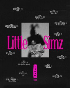 Little Simz: Lotus Tour